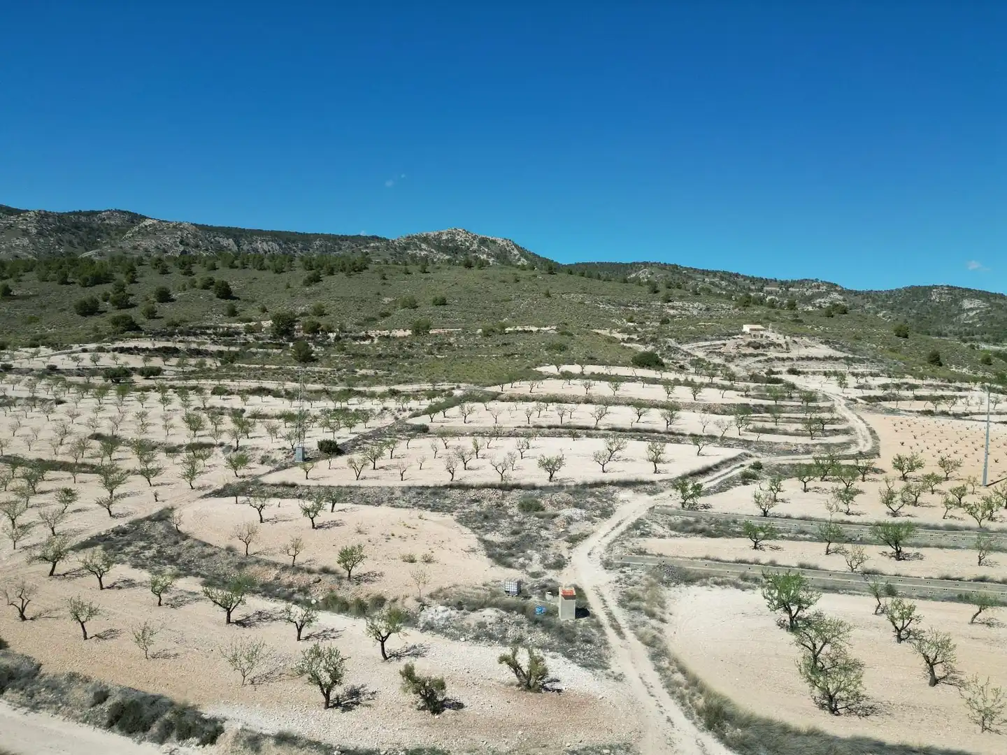 Terreny residencial en venda a Jumilla, imagen 4