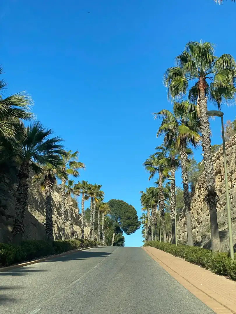 Casa con jardín en venta en Orihuela Costa, imagen 52