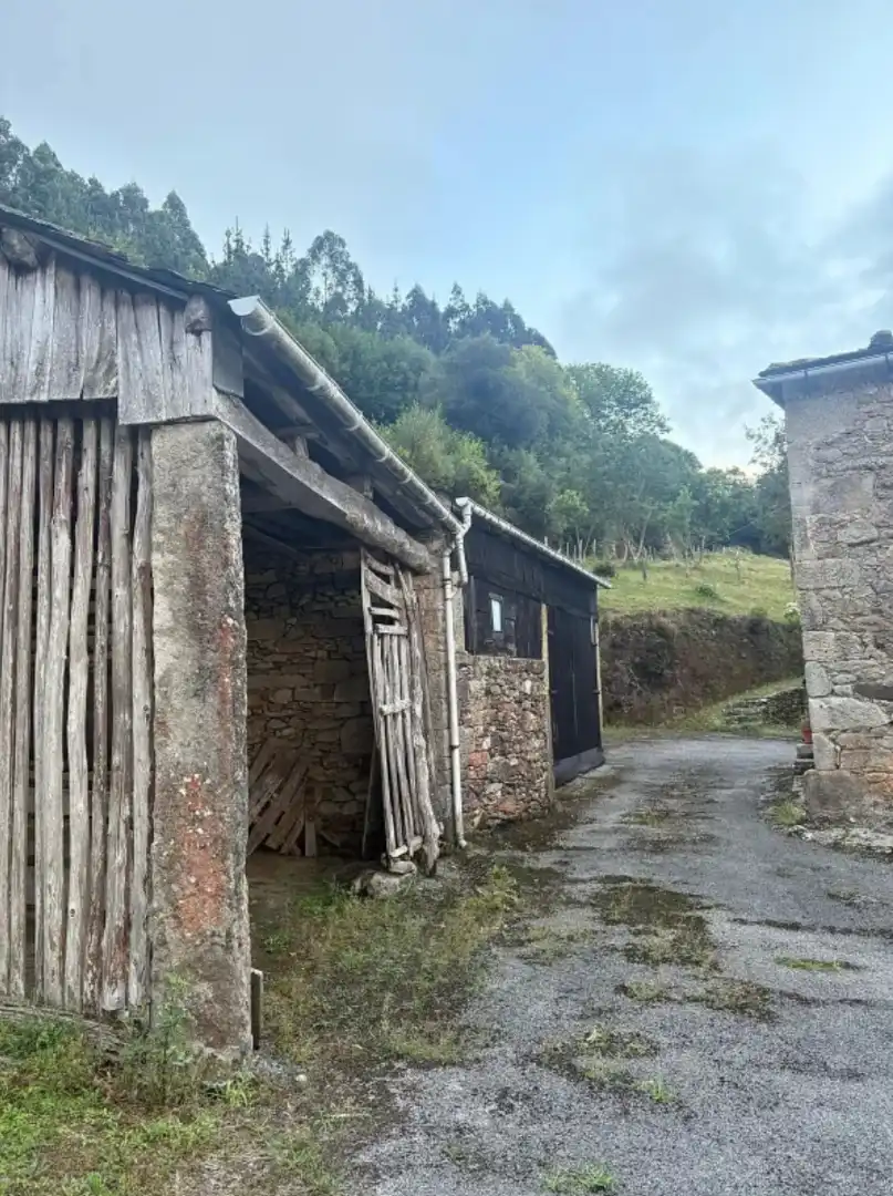 Vista exterior de Finca rústica en venda en Viveiro amb Jardí privat