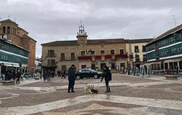 Vista exterior de Casa adosada en venta en Almagro