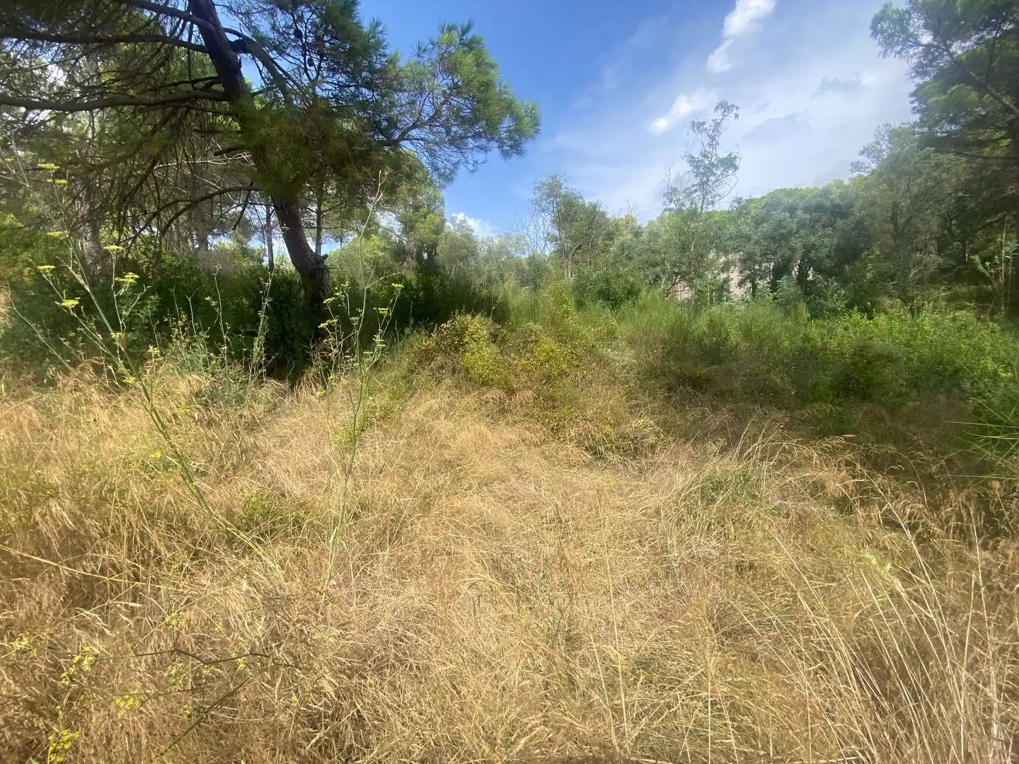 Grundstücke und Bauplätze zum Verkauf in Sant Joan - Vilarromà, imagen 4