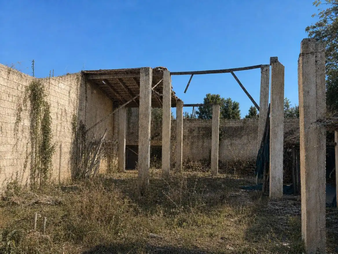 Vista exterior de Casa o chalet en venta en Algemesí