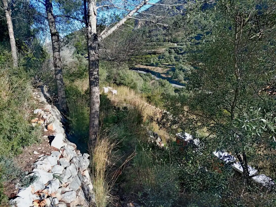 Terreny rústic en venda a Alcalalí, imagen 5