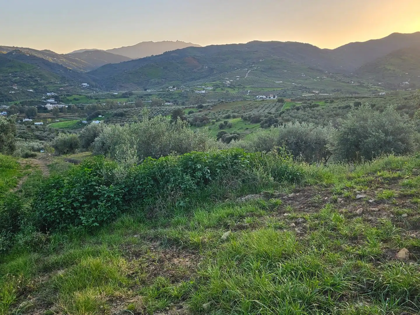 Terreni e lotti in vendita a Alozaina, imagen 2