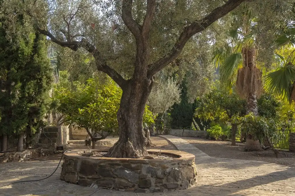 Casa rustica con piscina in vendita a Sayalonga, imagen 32