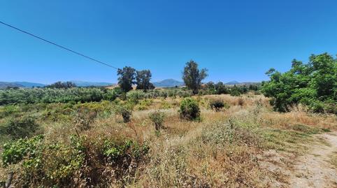 Foto 4 de Apartament en venda a Calle Teniente Coronel de la Rubia, 17, Coín, Spai, -1, Coín, Málaga