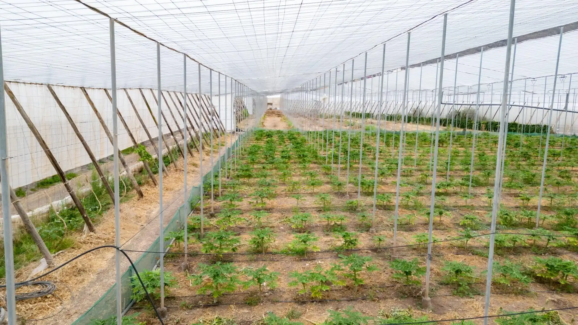 Jardín de Terreno en venta en San Cristóbal de la Laguna