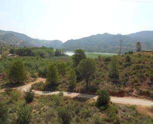 Land for sale in Cofrentes