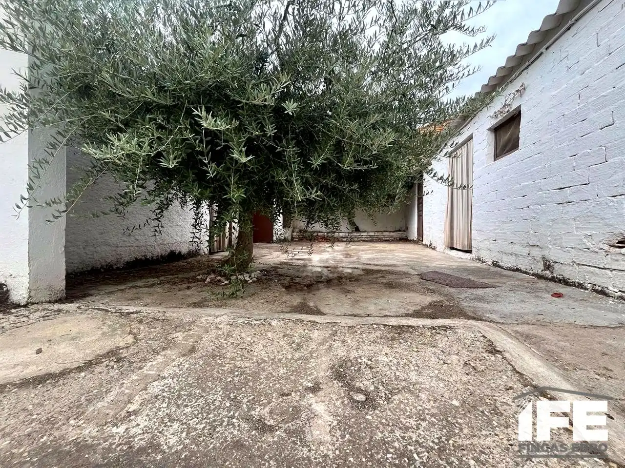 Jardí de Casa o xalet en venda en Torres de Berrellén amb Aire condicionat i Jardí privat