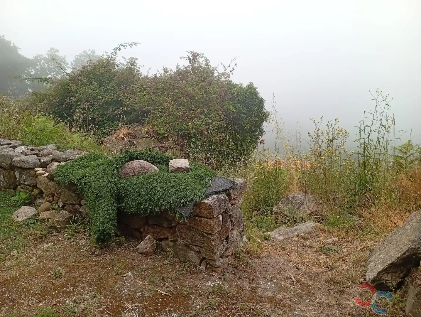 Garden of Country homes for sale in Marín