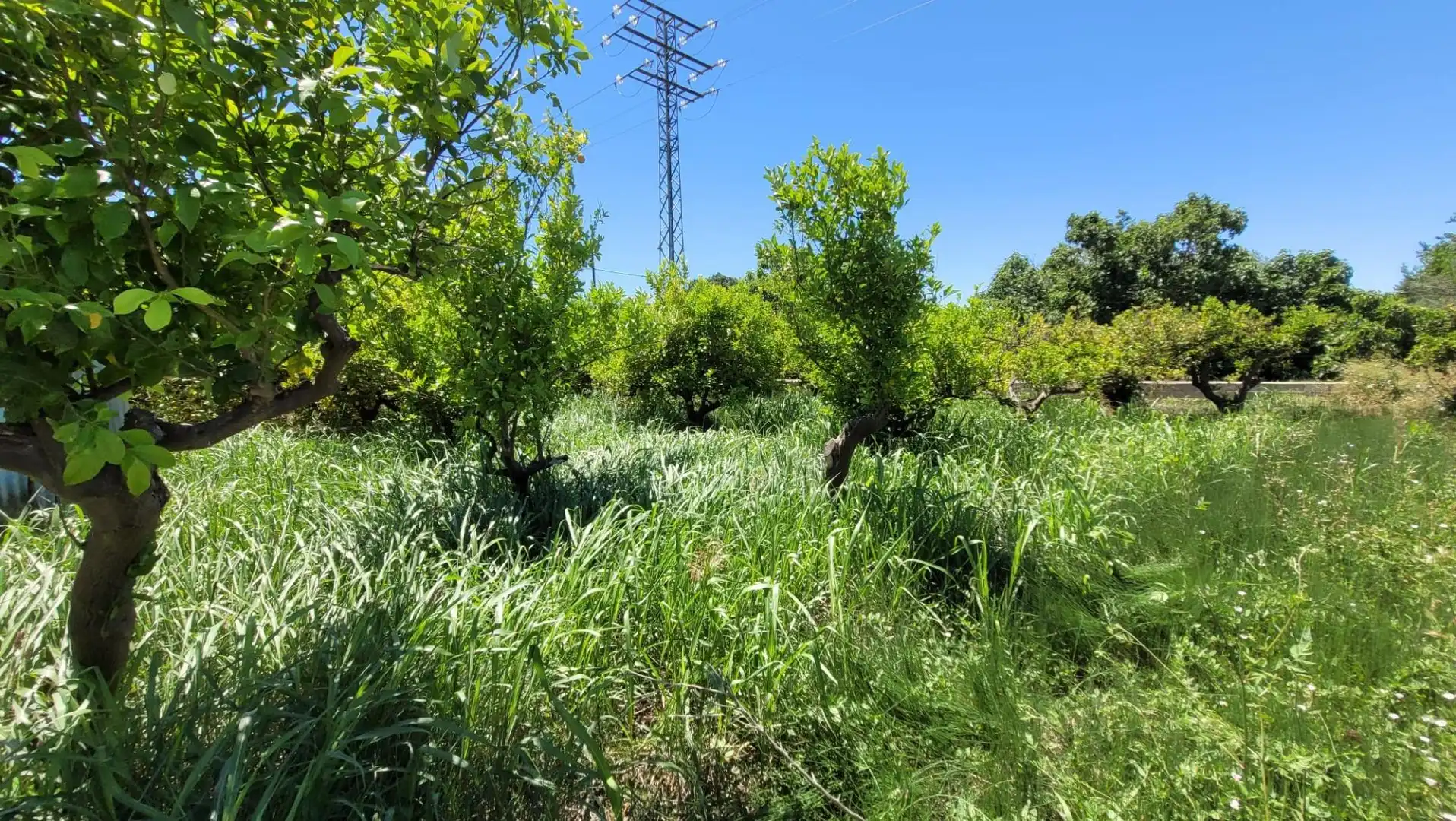 Terreno en venta en Murcia