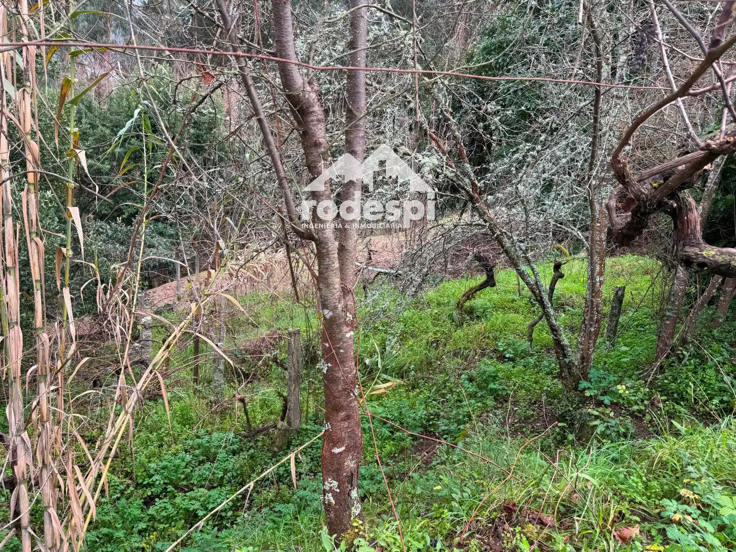 Casa o chalet en venta en Arbo
