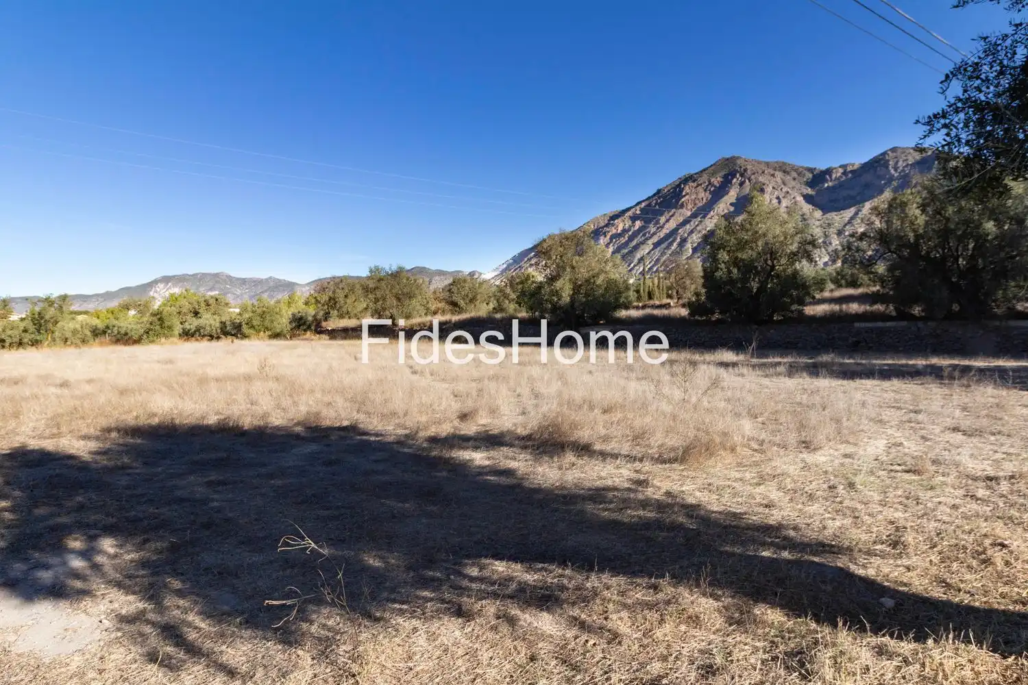 Rural land for sale in XFC2+FVQ Acequias 0, imagen 3