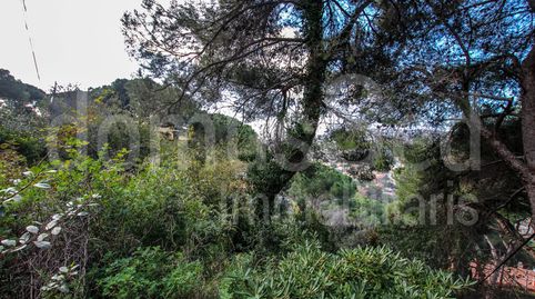 Terreno  en venta en Cabrils Can Tolrà