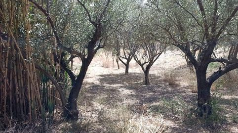 LÚCAR  ALMERÍA , TERRENO URBANO CON AGUA ., imatge 4