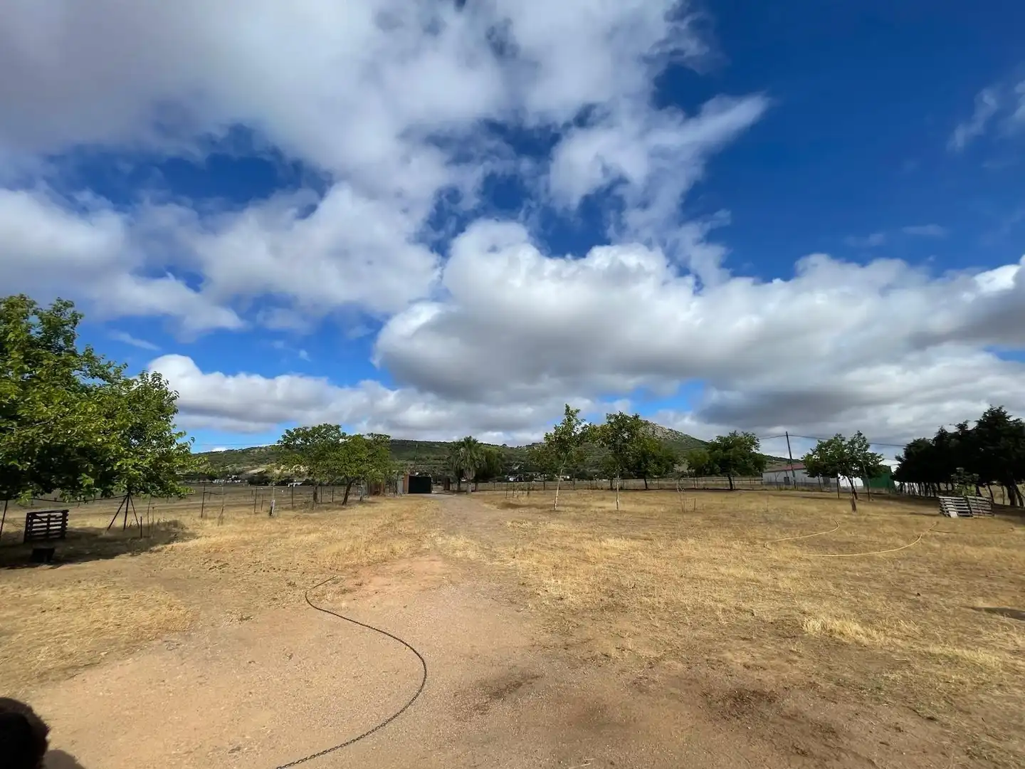 Casa amb piscina en venda a Sierra de Fuentes, imagen 23