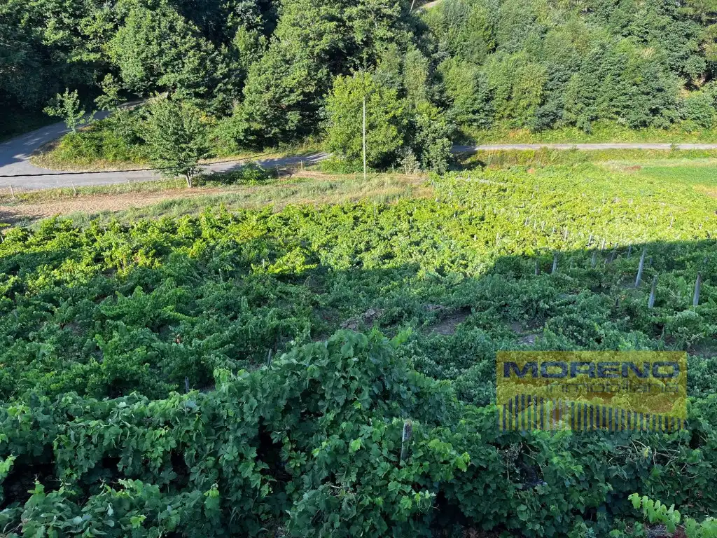 Country house for sale in Paradela, imagen 19