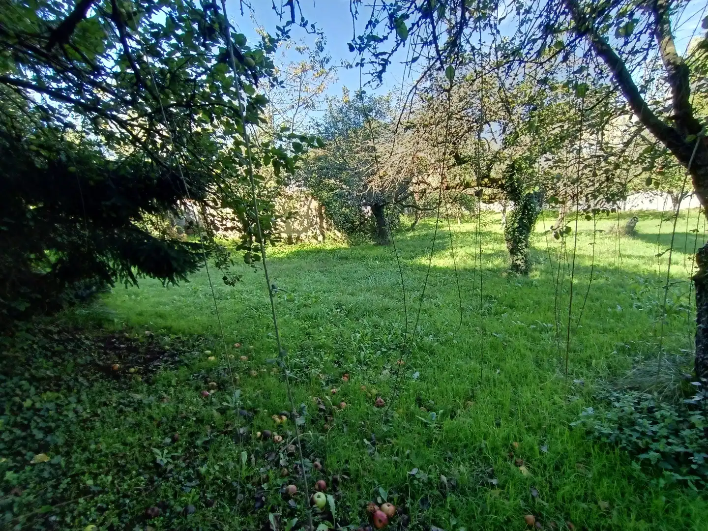 Residential land for sale in Calle Conde de Santa Barbara 31, imagen 15