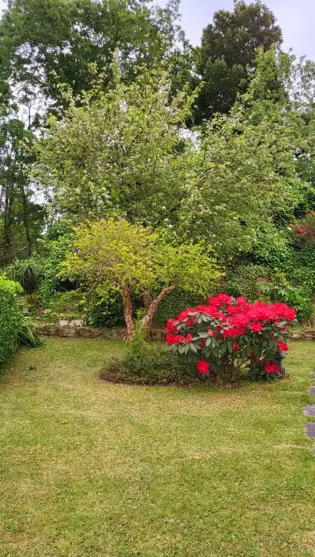 Jardín de Casa adosada en venta en Nigrán con Terraza y Balcón