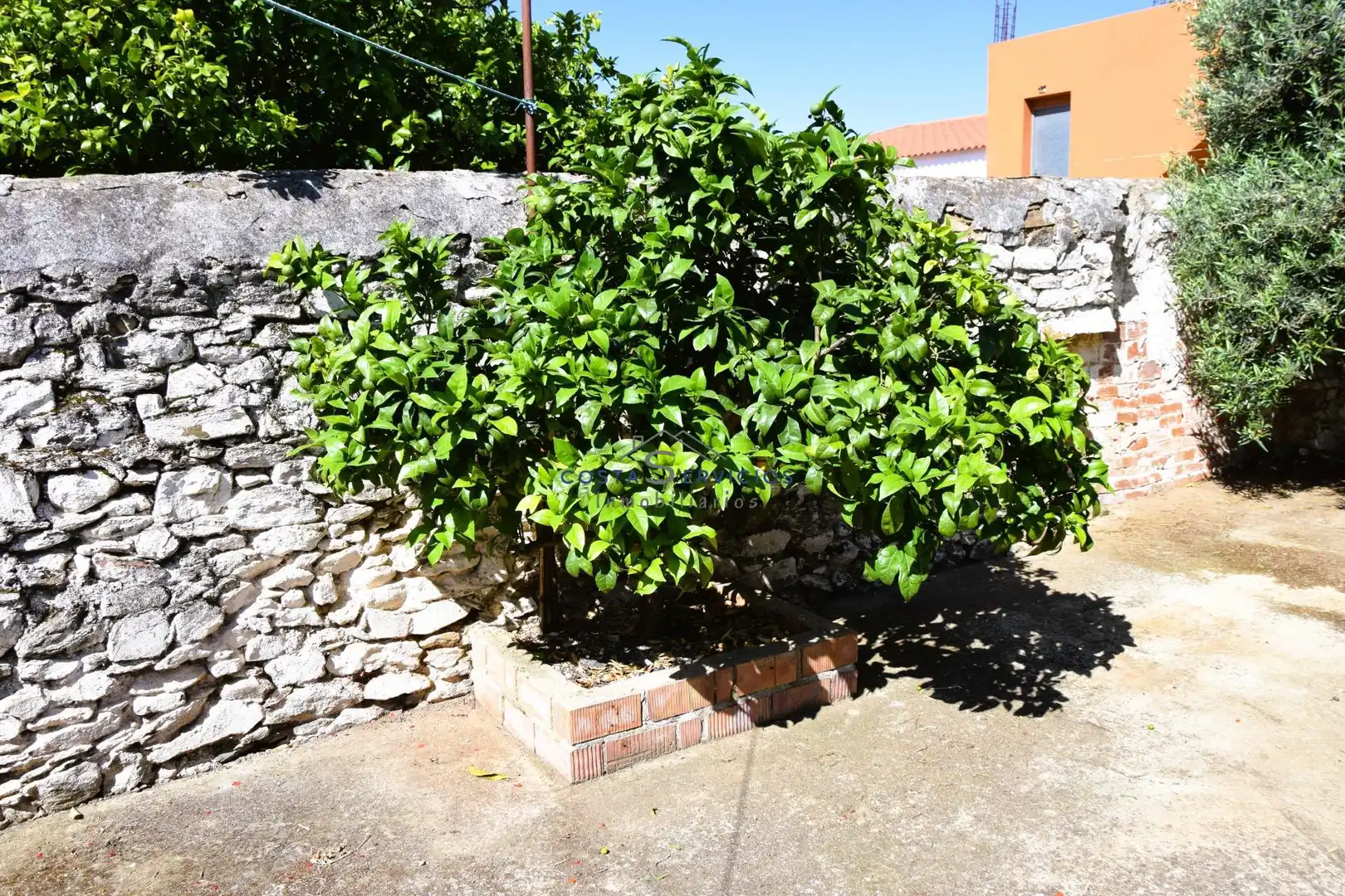 Jardín de Casa o chalet en venta en El Granado con Terraza y Trastero