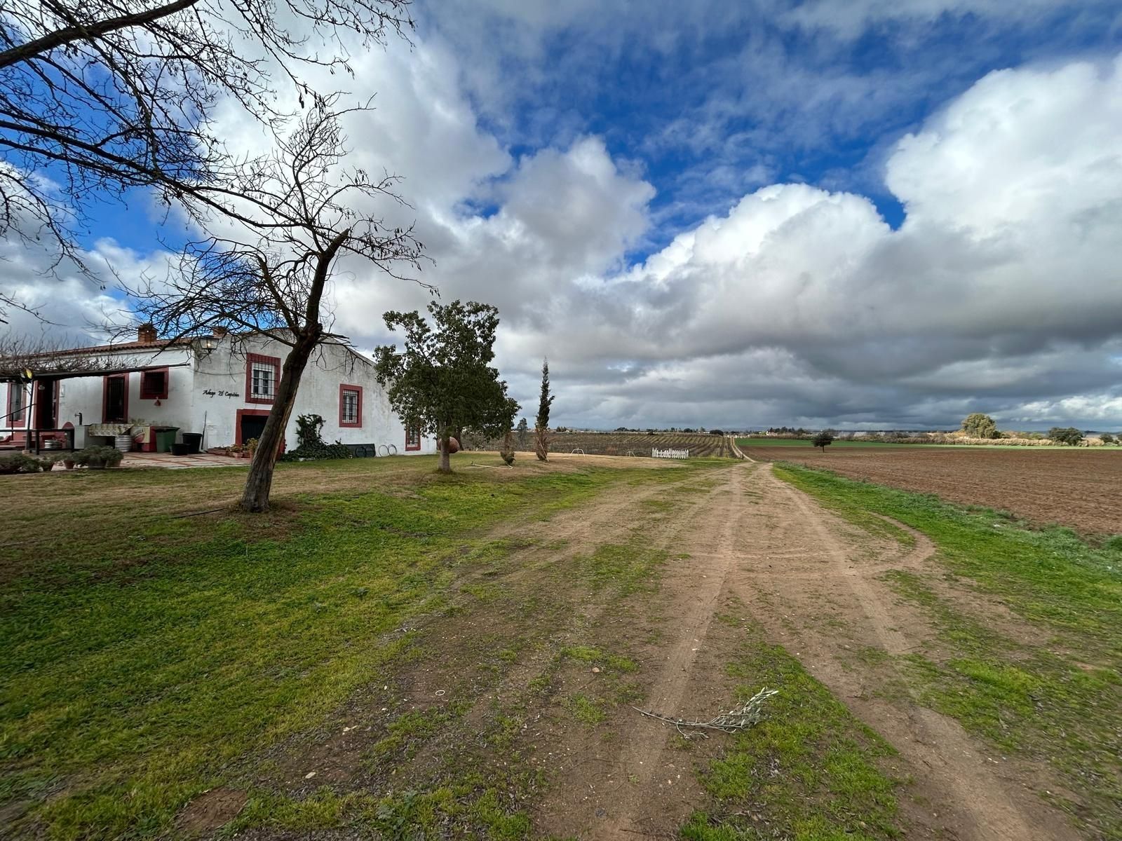 Country house for sale in Badajoz Capital  with Storage room and Swimming Pool