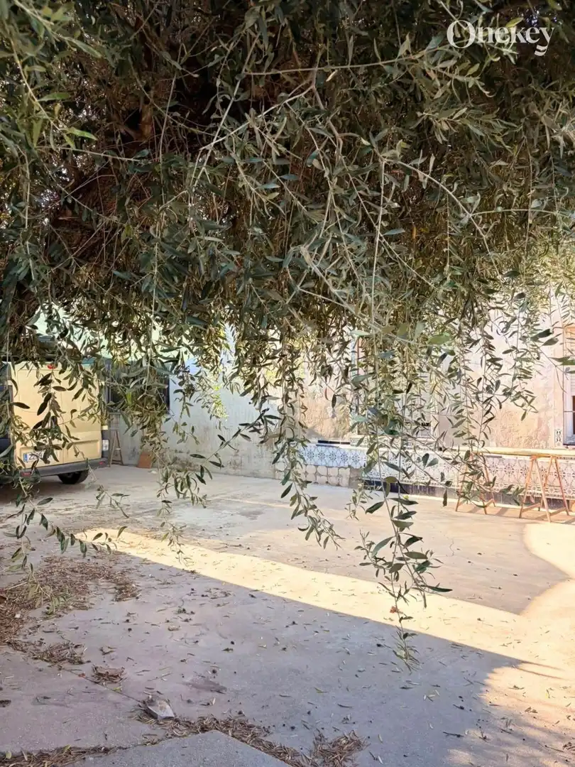 Jardín de Nave industrial en venta en Campo de Murcia