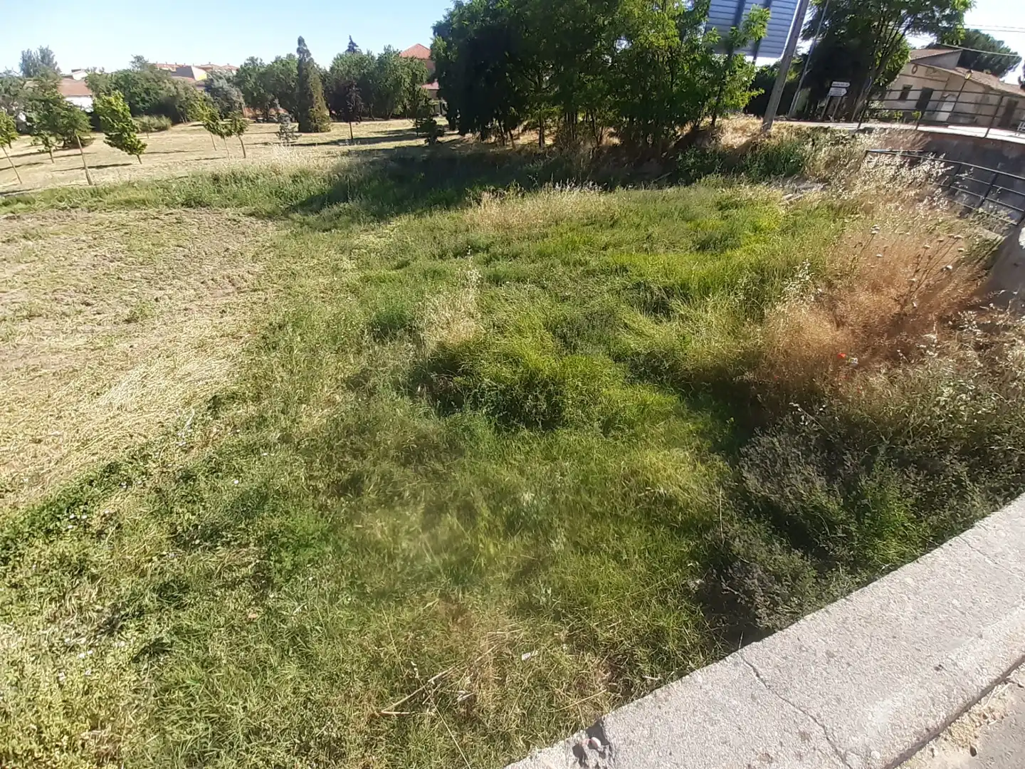 Terreni e lotti in vendita a Corrales del Vino, imagen 4