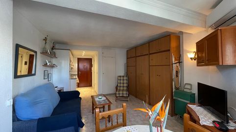 Photo 4 of Study for sale in Calle Gabarra, 4, Centro, Vélez-Málaga