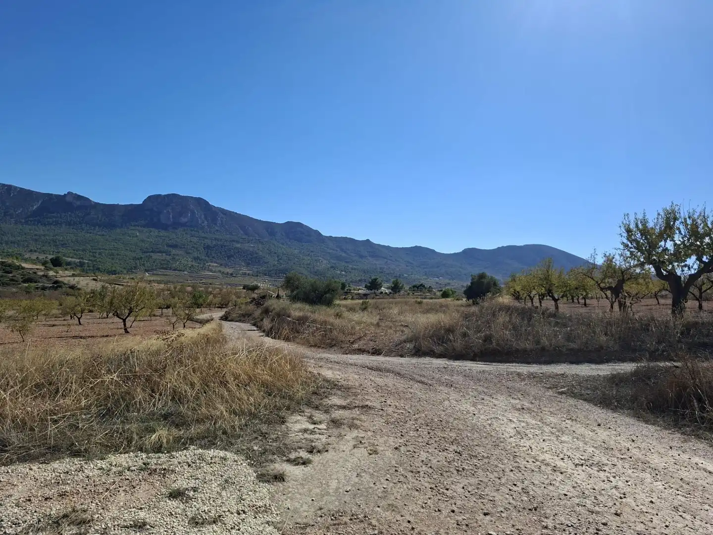 Terreny residencial en venda a La Romana, imagen 5