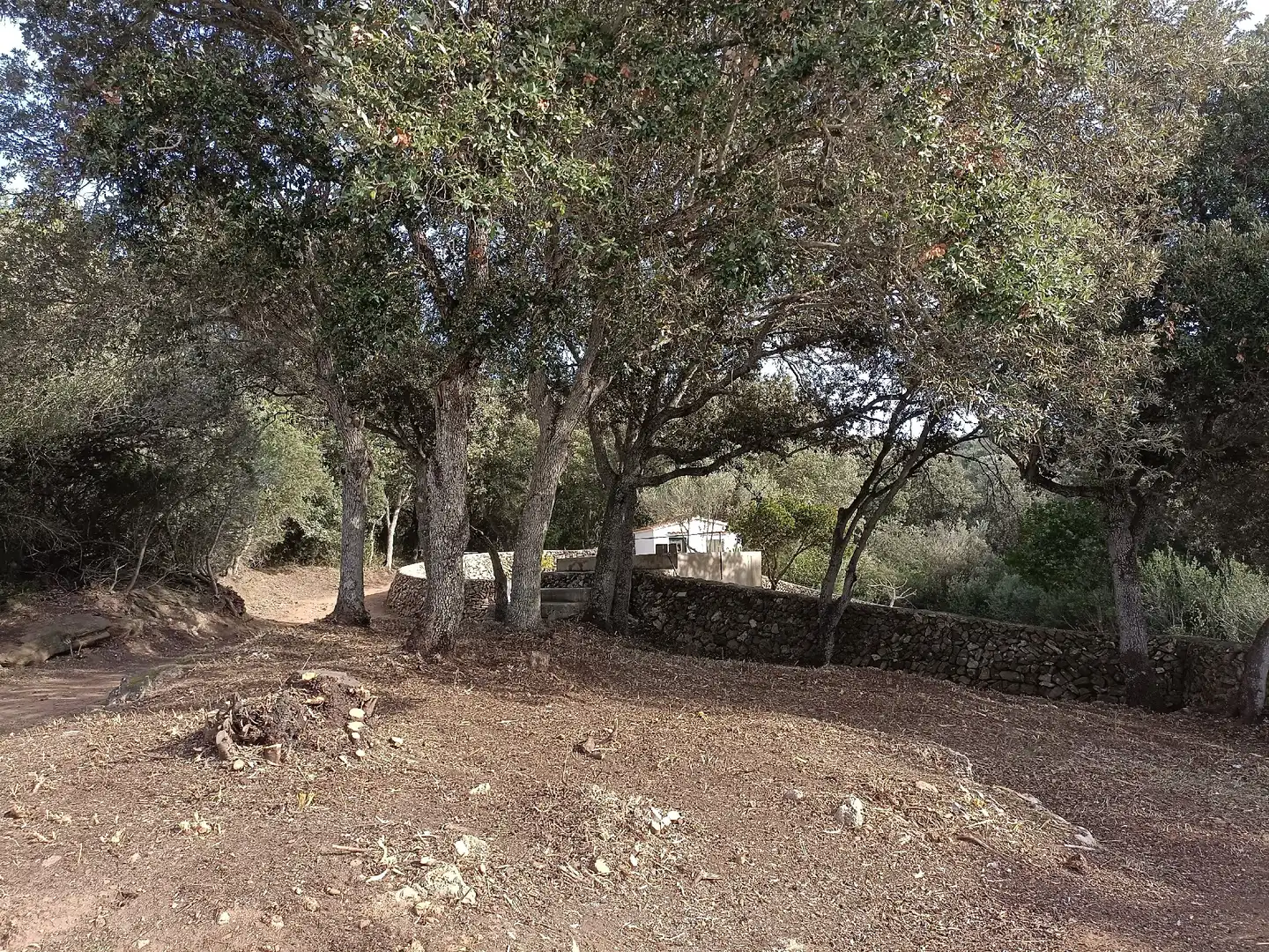 Casa o xalet en venda a Ses Salines de Fornells