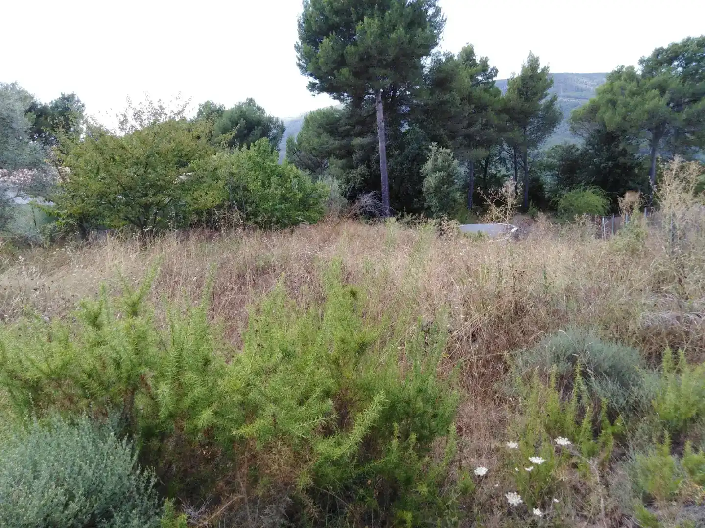Terreno en venta en Pontils