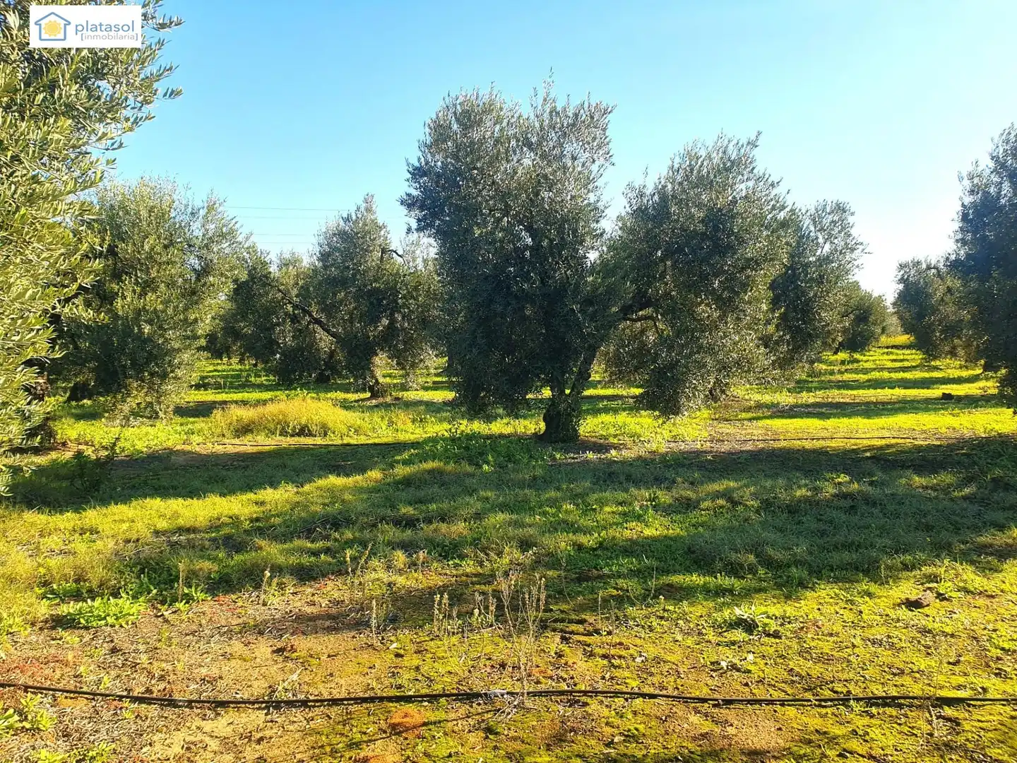 Finca rústica en venta en Chucena con Aire acondicionado, Calefacción y Jardín privado