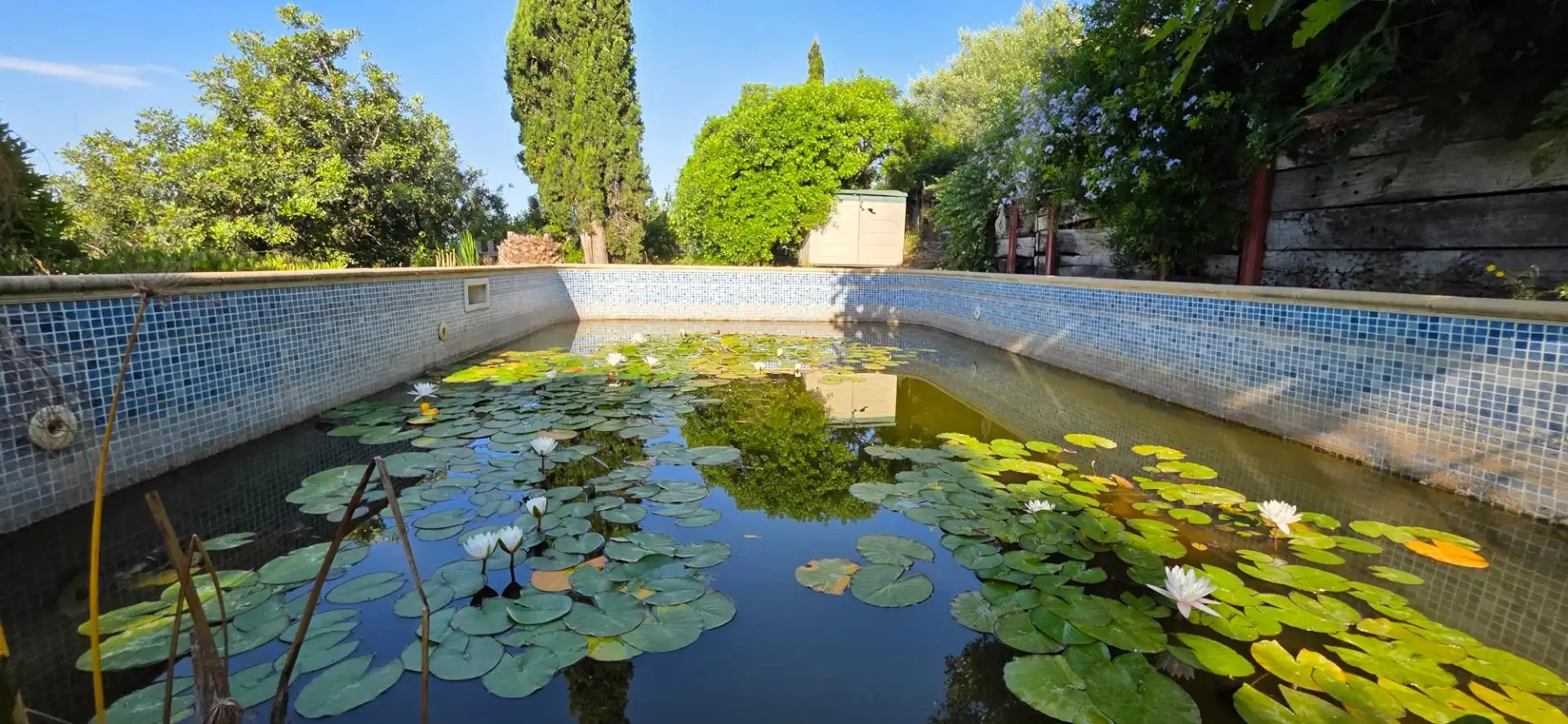 Piscina de Finca rústica en venta en El Perelló con Calefacción, Jardín privado y Terraza