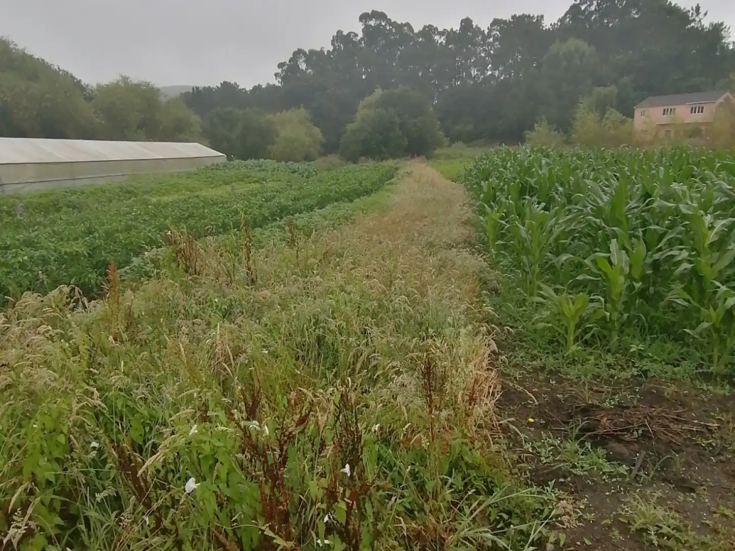Finca rústica en venda en Padrón amb Jardí privat