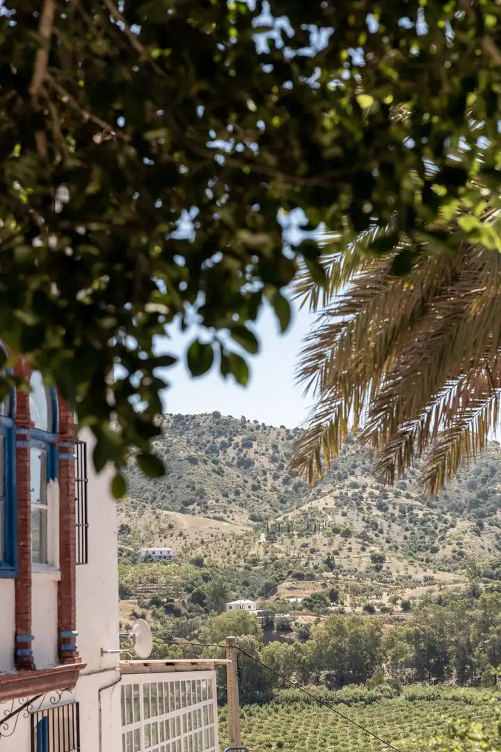 Terreni e lotti in vendita a Álora, imagen 34