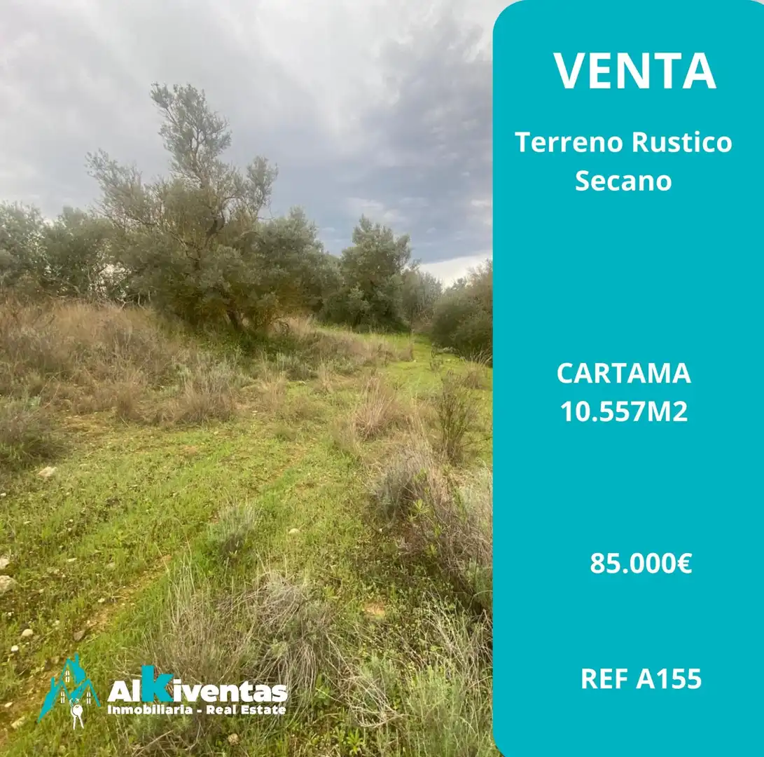 Terreni e lotti in vendita a Centro