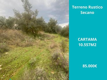 Terreno rustico in vendita a Centro