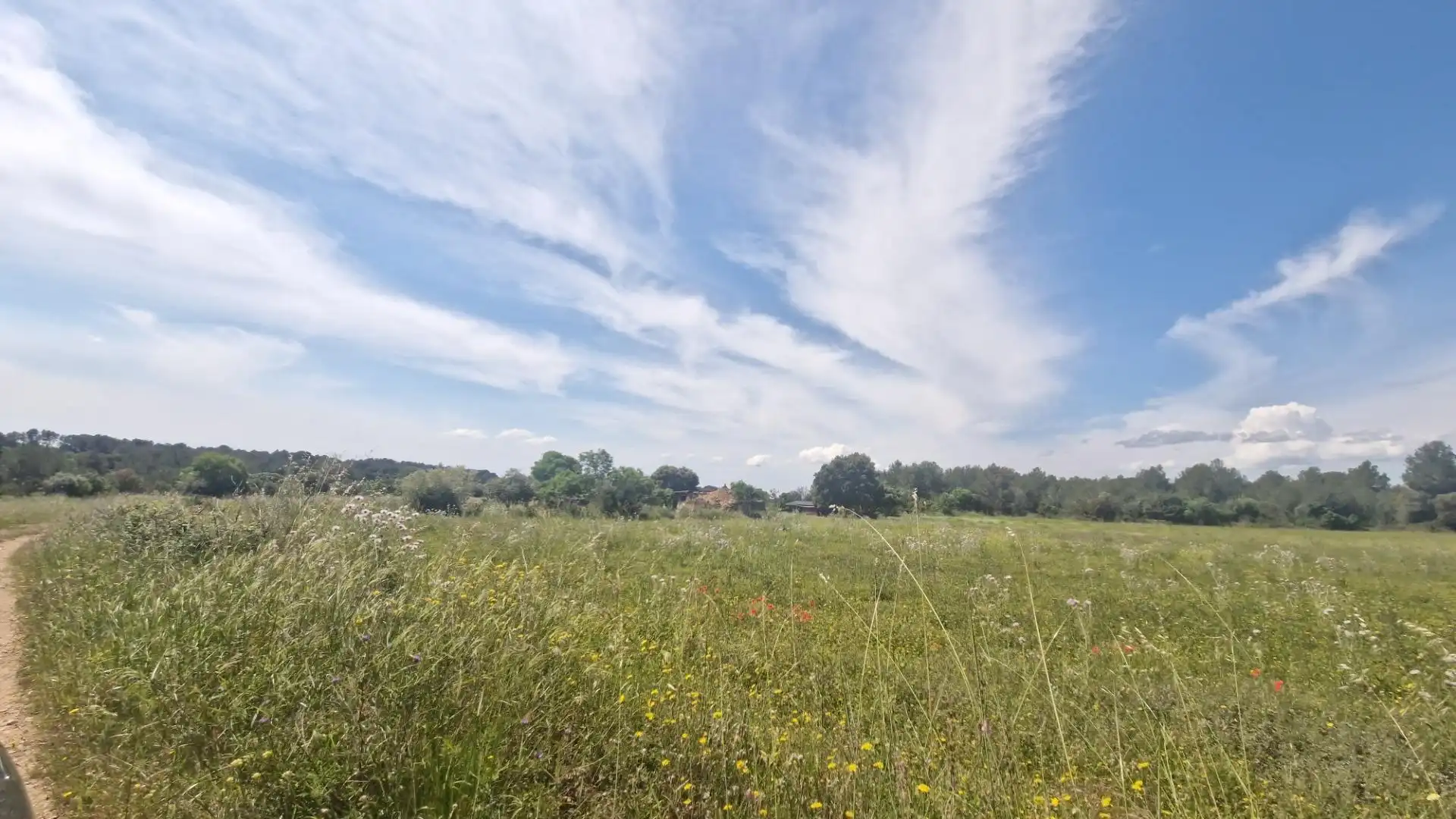 Terreno rustico in vendita a Valls, imagen 21