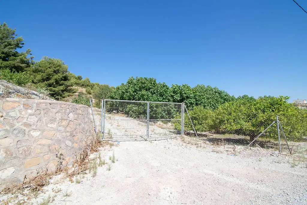 Lands and plots for sale in Paraje del Tale, imagen 7