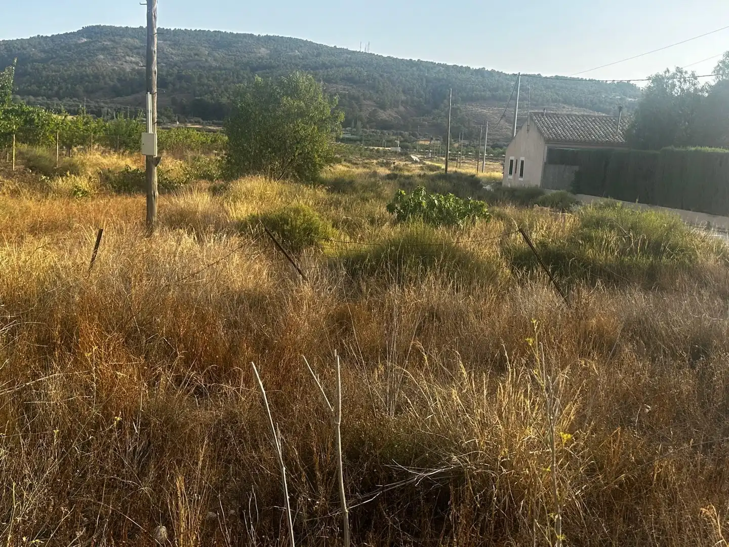 Wohnbaugrundstück zum Verkauf in El Pinós / Pinoso, imagen 6