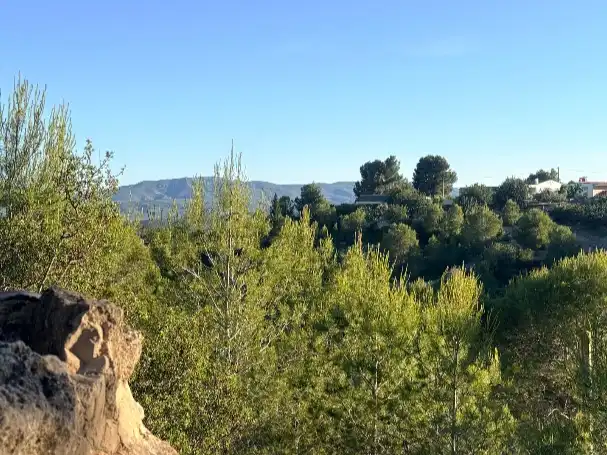 Casa o chalet en venta en Urbanizacion Fuente la Virgen 2, 1, Alborache