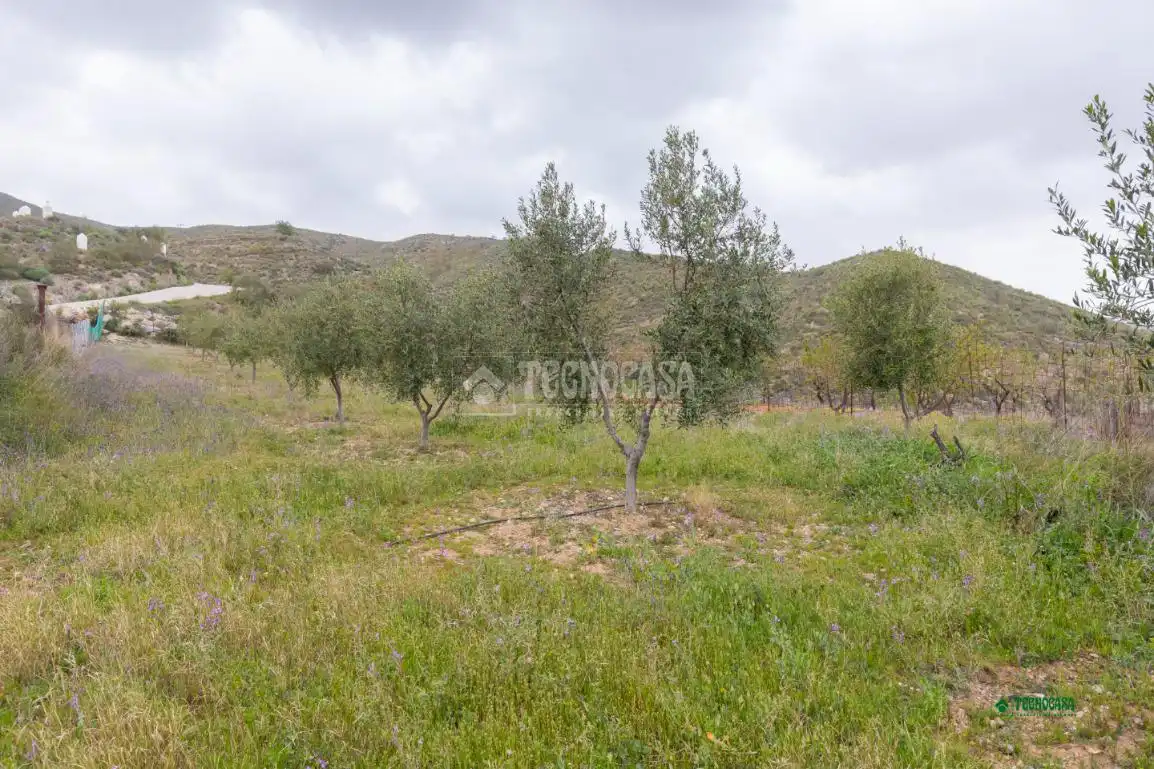Finca rústica en venda en Cantoria