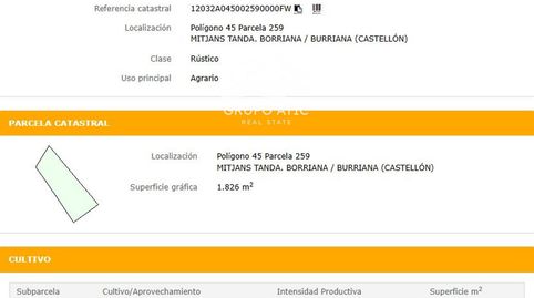RUSTICO EN BURRIANA