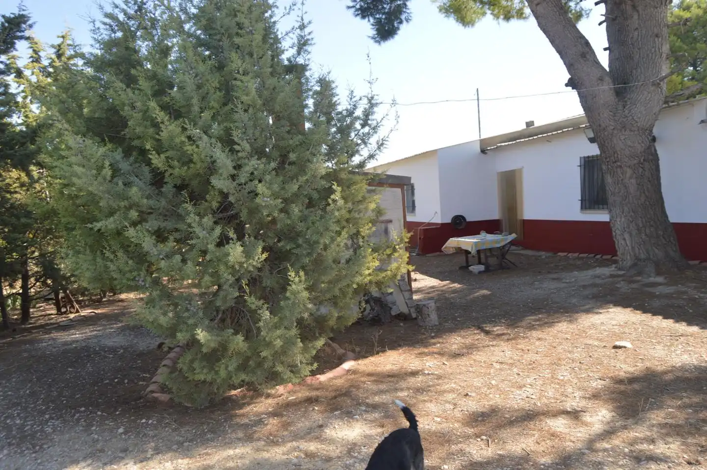 Jardí de Finca rústica en venda en Tarancón amb Jardí privat