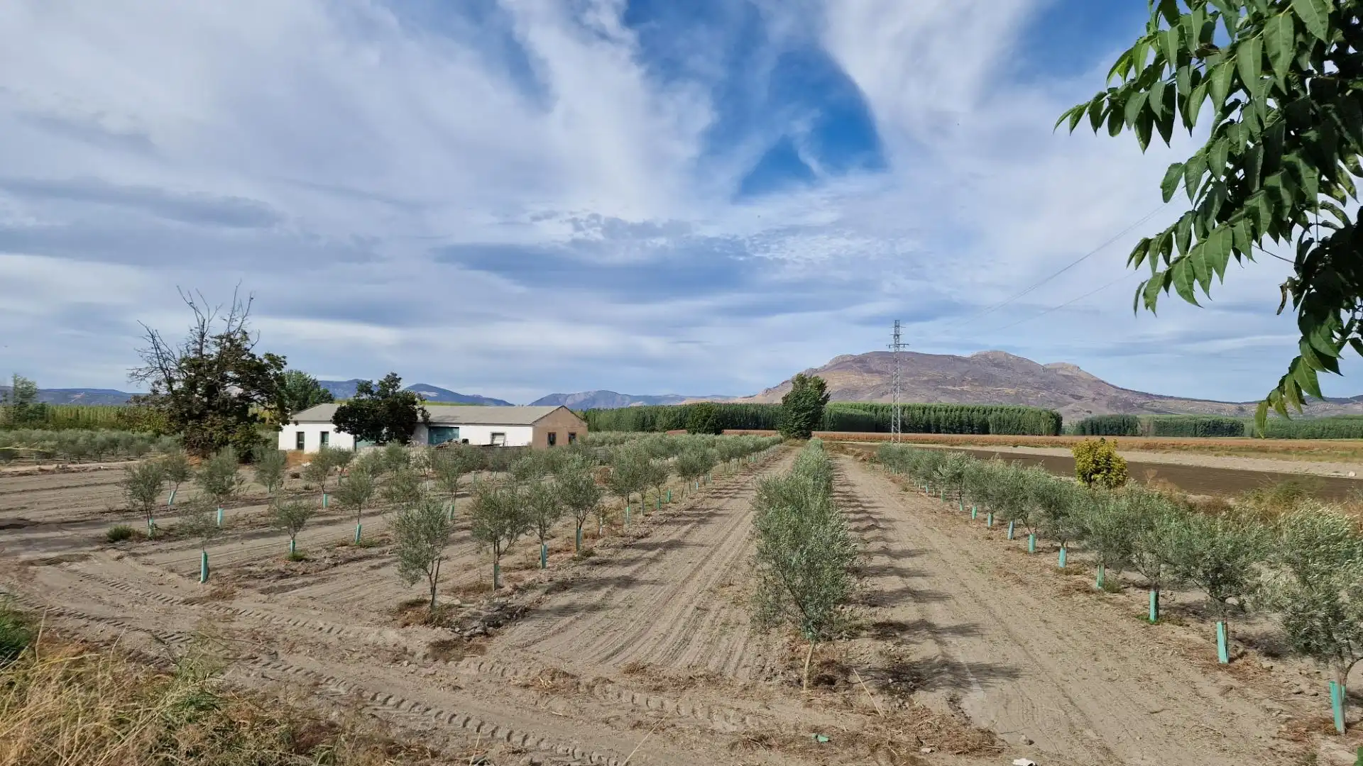 Vista exterior de Terreno en venta en Santa Fe