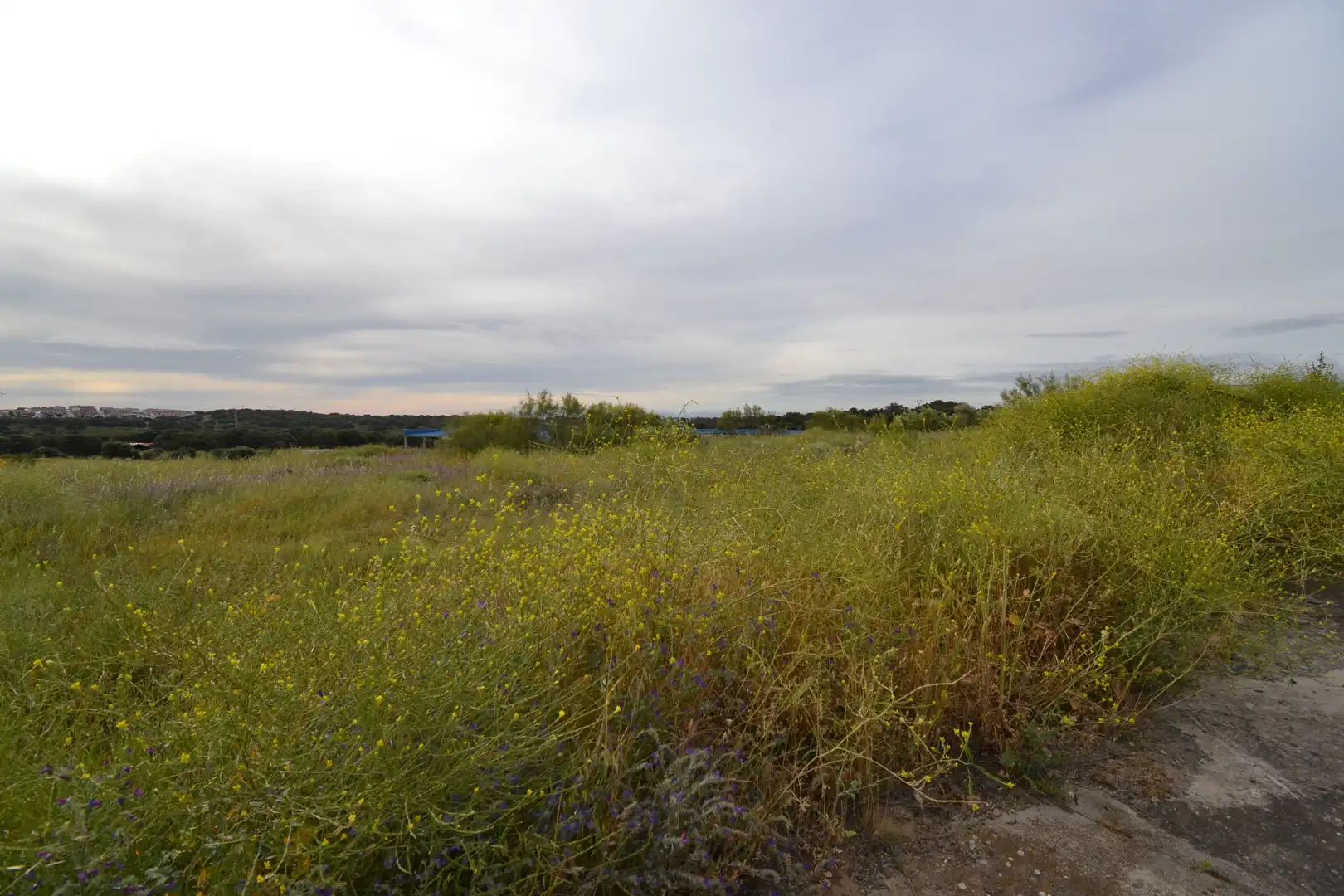 Terreno industrial en venta en Malpartida de Plasencia