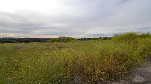 Foto 3 von Fabrik Grundstücke zum Verkauf in Calle las Encinas, 3, Malpartida de Plasencia, Cáceres