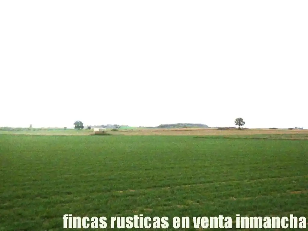 Terreno rústico en venta en Daimiel, imagen 4