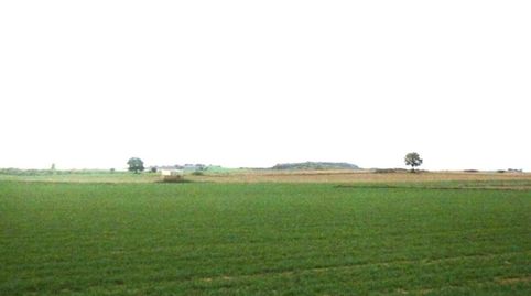 finca en venta 9 has. labor regadío en Daimiel (C.Real), immagine 4