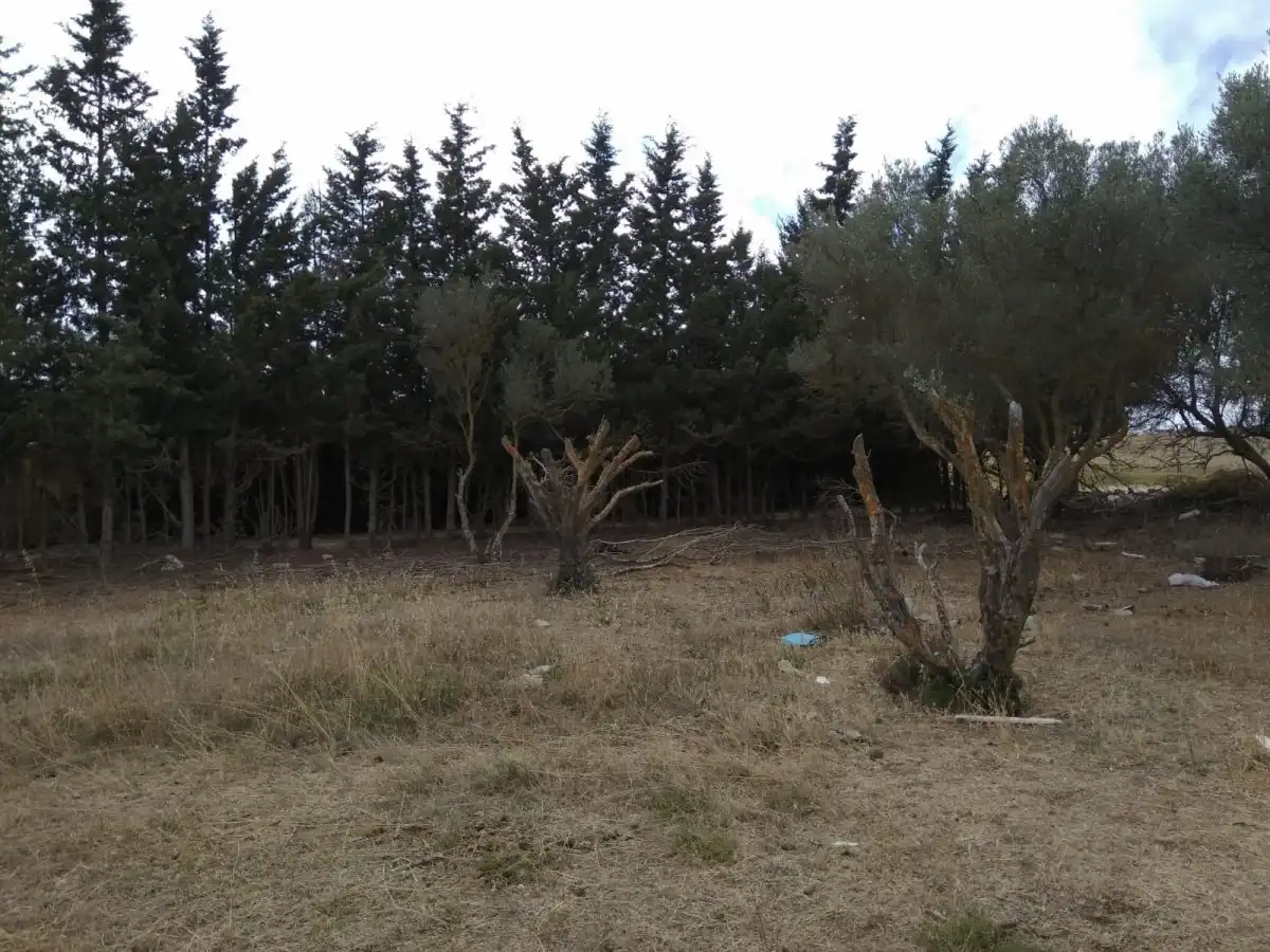Terrenys i solars en venda a Las Canteras, imagen 7